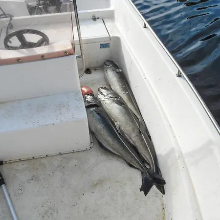 Apartmán Awesome In Steinsland *