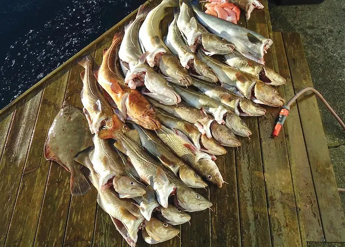 Awesome In Steinsland * Steinsland (Vestland)