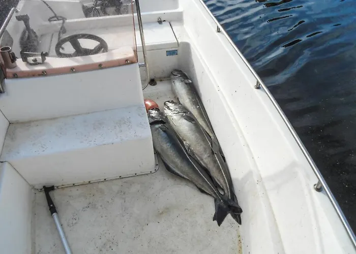 Apartmán Awesome In Steinsland *